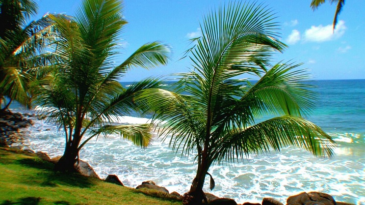 corn_island
